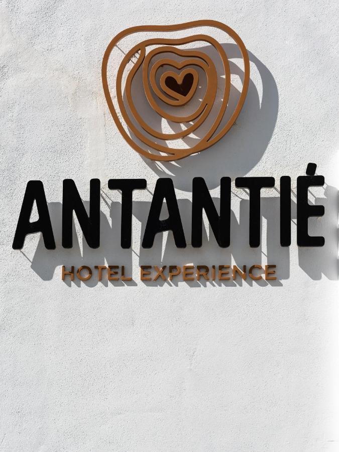 Hotel Antantie Коніль-де-ла-Фронтера Екстер'єр фото